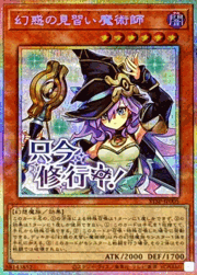 幻惑の見習い魔術師