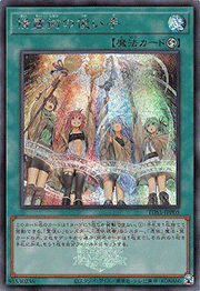 精霊術の使い手