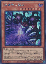 闇魔導の覇王