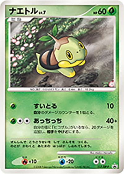 ナエトルLV.7（DP-P 117/DP-P PROMO / コレクションチャレンジJR西日本夏休みポケモンスタンプラリー2008  / DP）