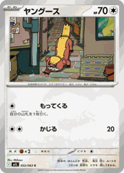 ヤング―ス