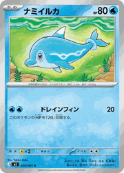 ナミイルカ