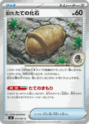古びた たての化石