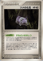 ツメの化石
