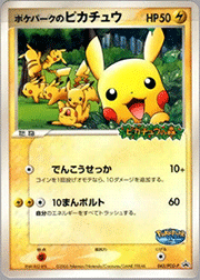 ポケパークのピカチュウ