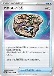 めずらしい化石