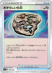 めずらしい化石