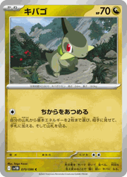 キバゴ
