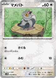 マメパト