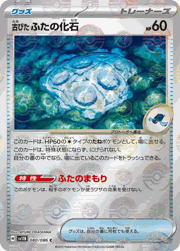 古びた ふたの化石