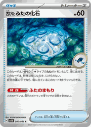 古びた ふたの化石