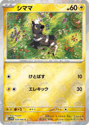 シママ