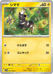 シママ