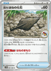 古びた はねの化石