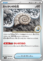 古びた かいの化石
