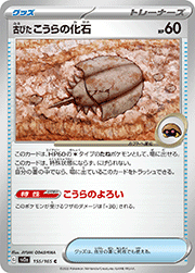 古びた こうらの化石