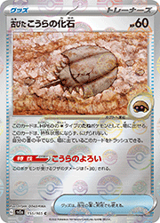 古びた こうらの化石