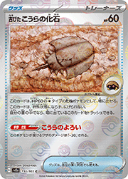 古びた こうらの化石