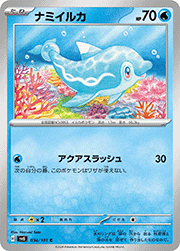 ナミイルカ