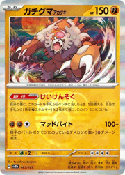 ガチグマ アカツキ