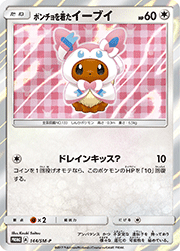 ポンチョを着たイーブイ